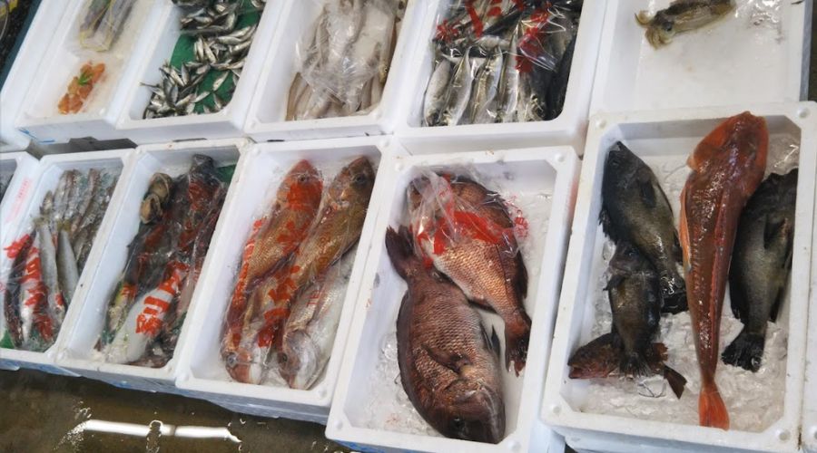 別所水産で売られている魚