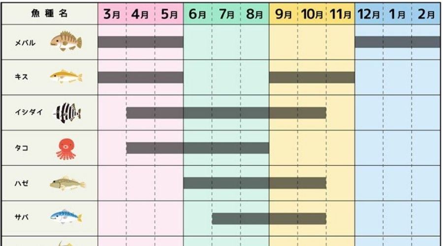 タコ釣りのシーズン表